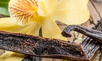 Classifications et qualités des gousses