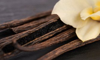 Quelle vanille choisir ?